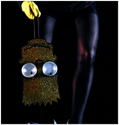 Francamente me ne infischio - Twins