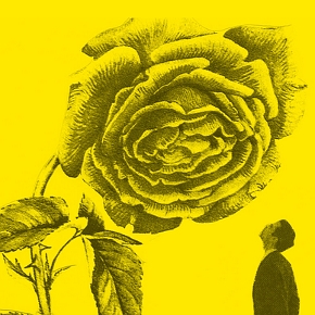 Festival d'Avignon 2014