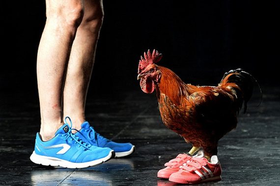 4 (photo: Marc Ginot)|