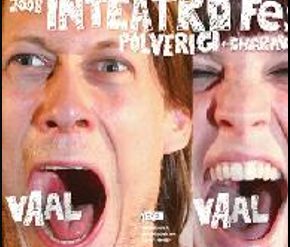 Inteatro festival 2008