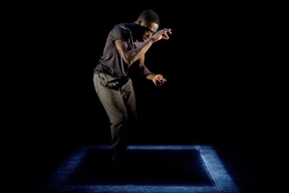 Elephant in the Room di Lanre Malaolu (photo: Camilla Greenwell)|Aqui