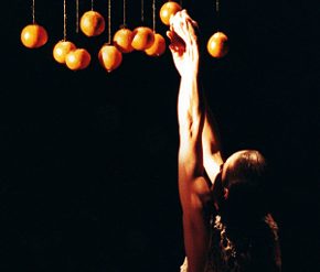 Terramara di Abbondanza/Bertoni