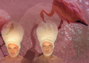 Abba Bosch|Fagarazzi e Zuffellato