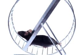 La mia bara compratela all'Ikea