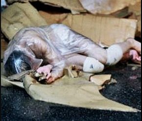 Blessed - Meg Stuart