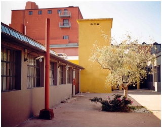 La Città del teatro|Donatella Diamanti|La Città del teatro