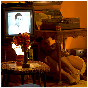 Come voi - Animanera