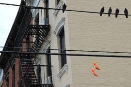 Dessous|47.49 François Veyrunes