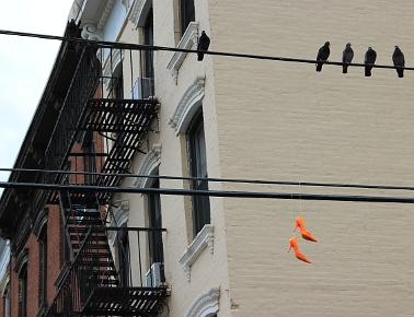 Dessous|47.49 François Veyrunes