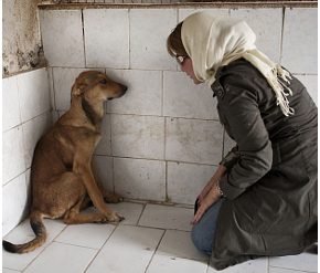 Disgrace - Mondruczo