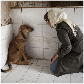 Disgrace - Mondruczo