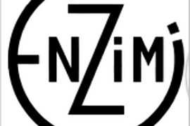 Enzimi