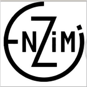 Enzimi