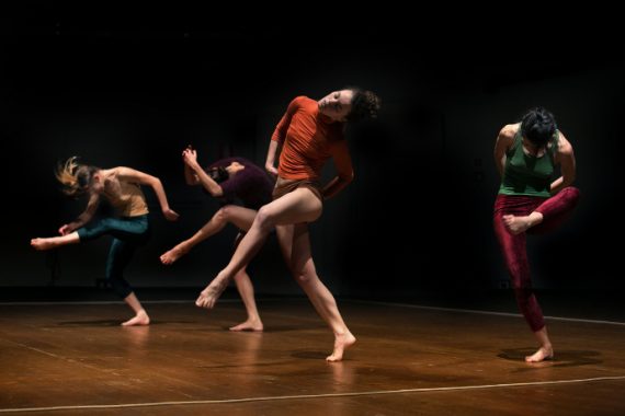 Animali senza favola (photo: Futura Tittaferrante)