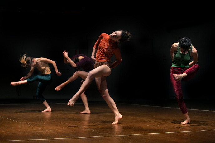 Animali senza favola (photo: Futura Tittaferrante)