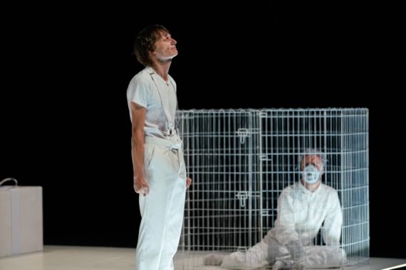 George II (photo: Andrea Avezzù)