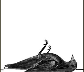 Have I None - Fibre Parallele