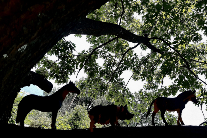 Photo: Teatrino Giullare