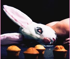 Macadamia Nut Brittle (Ricci/Forte)