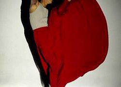 Fabian Barba A Mary Wigman dance evening|La conferenza stampa di Danae 2014|Alberi di Fabrizio Favale|Atlas Milano