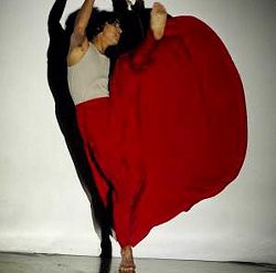 Fabian Barba A Mary Wigman dance evening|La conferenza stampa di Danae 2014|Alberi di Fabrizio Favale|Atlas Milano