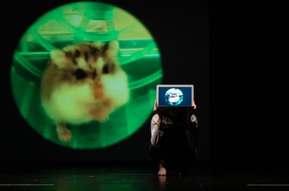 Re_Play di Giselda Ranieri (photo: nidplatform.it)|Rosarosaerosae|Un discreto protagonista