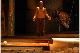 Sono soltanto animali