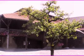 Le théatre du Jorat|Theatre du Jorat|Anne-Catherine Sutermeister|Il théatre du Jorat