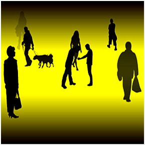 Transition Times - Massimo Giovara