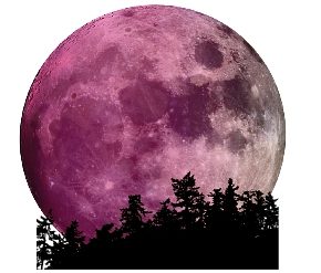 L'ultima luna d'estate