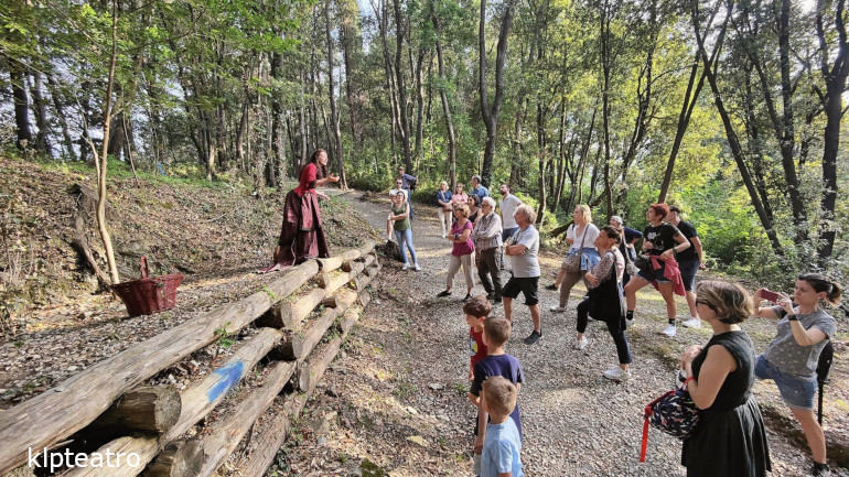 Di ulivi, vigneti, storie e silenzio (ph: Elisa Sirianni)