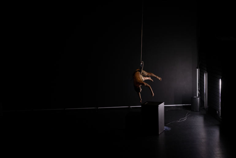 Clashes Licking (ph: Eden Levi Am)