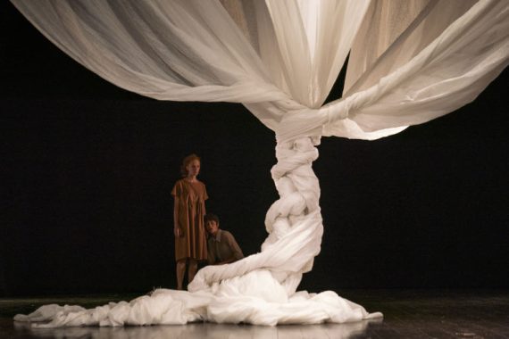 X di Xylella (ph: Eduardo De Matteis - Archivio Koreja)