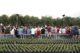 Le serre di Albenga, location di elezione di Terreni Creativi