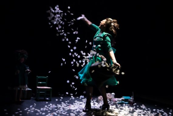 Ape regina (ph: Stefano Roggero)