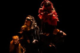 Gli uccelli (ph: Luca Del Pia)